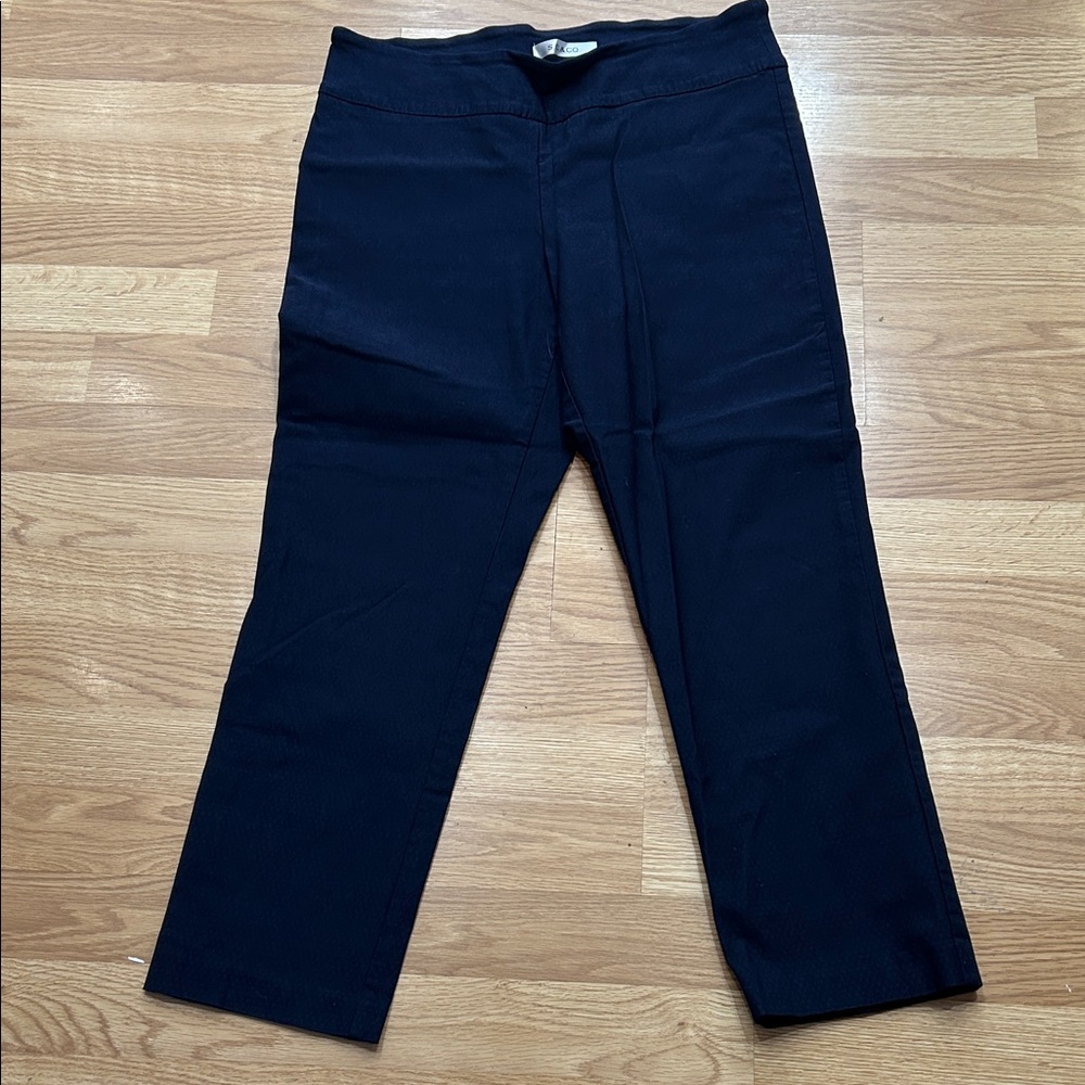 J101.    S.C& CO Navy Blue Pants